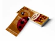 заказать печать 1 000 флаеров «Евро»