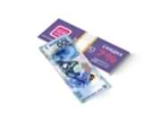 заказать печать 240 флаеров «Денежная купюра»