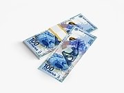 заказать печать 240 листовок «Денежная купюра» полноцветная печать с одной стороны