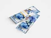 заказать печать 240 флаеров «Денежная купюра» полноцветная печать с одной стороны