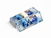 заказать печать 5 000 листовок «Денежная купюра» полноцветная печать с одной стороны