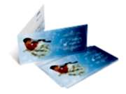 заказать печать 150 открыток «Евро», в развороте «420х100» полноцветная печать с обеих сторон