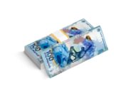 заказать печать 1000 флаеров «Денежная купюра», 4+0