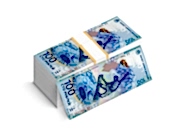 заказать печать 10 000 флаеров «Денежная купюра», 4+0