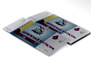 заказать печать 240 листовок «Денежная купюра» полноцветная печать с одной стороны