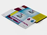 заказать печать 240 листовок «Денежная купюра»