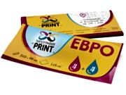 заказать печать 120 флаеров «Евро»