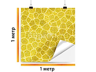 заказать печать Самоклеящаяся пленка транслюцентная, 1 м², интерьерная печать 1440 dpi (от 1 м²)