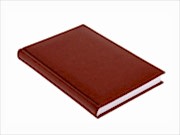 заказать печать 20 ежедневников А5,  тиснение блинтовое